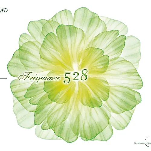 couverture-album-frequence-528-anthony-doux